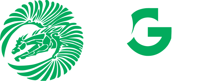PGS Consultoria